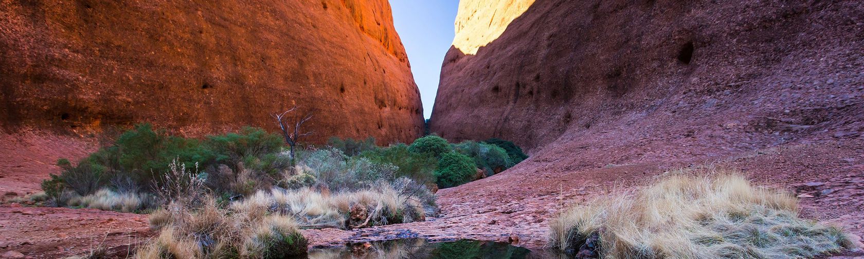 Walpa Gorge. Photo by AAT Kings