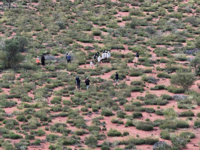 An arial shot of the survey area.