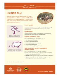 H5 bird flu fact sheet