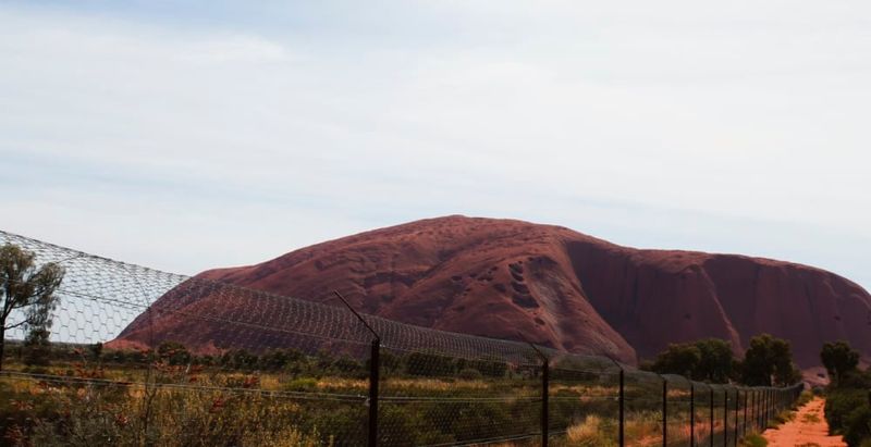 Wire fence around a paddock with Uluru in the background.