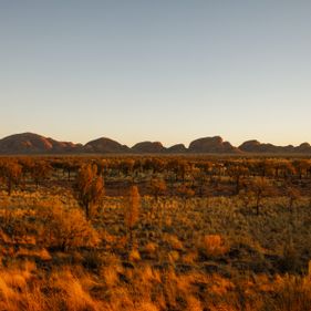 Kata Tjuta dune viewing area