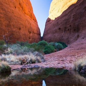 Walpa Gorge. Photo by AAT Kings