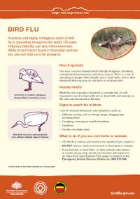 Uluru-Kata Tjuta bird flu factsheet