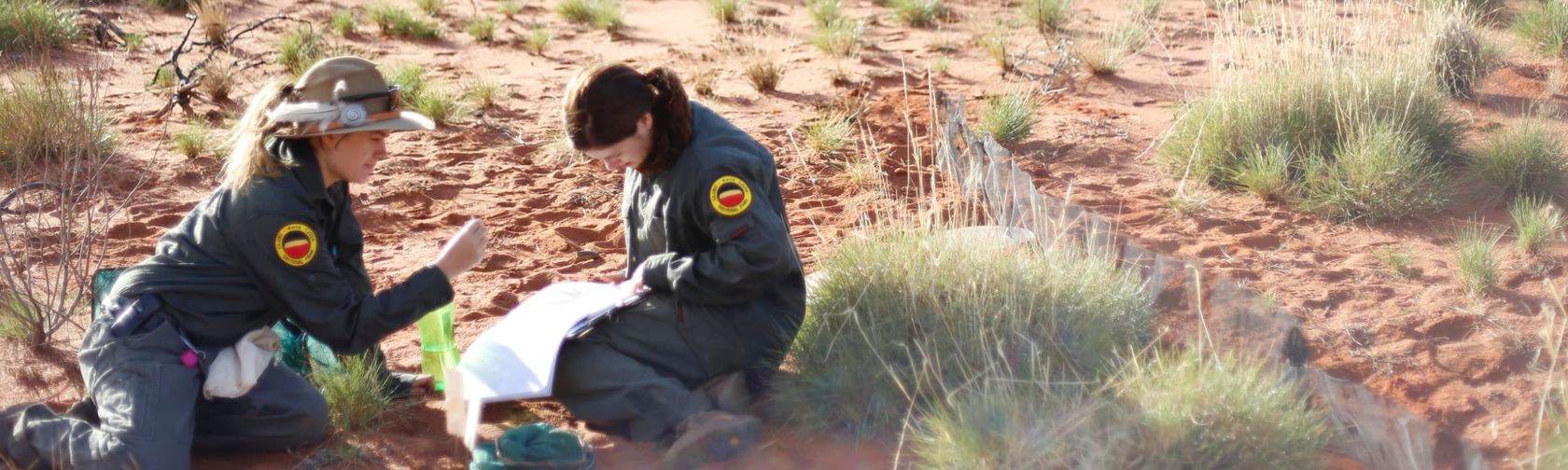 Rangers conducting a fauna survey in the park