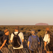 Tasmanian Walking Company Signature Walk