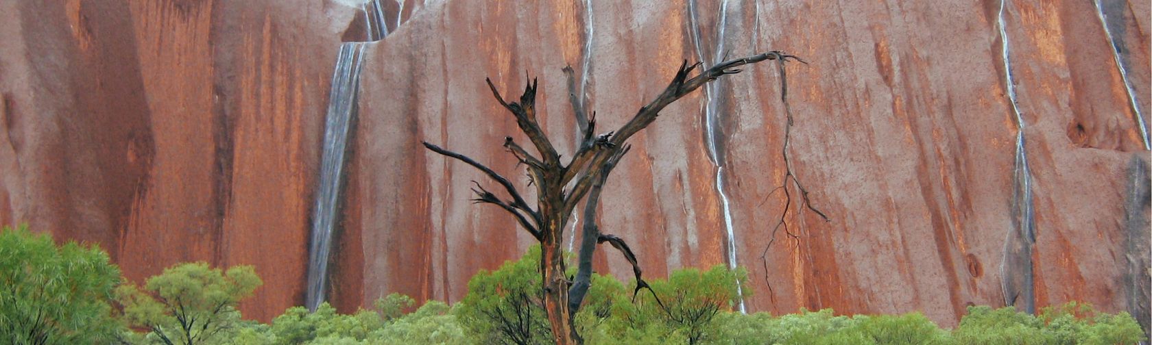 Rain on the rock.