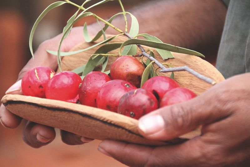 Quandongs in a wooden bowl.